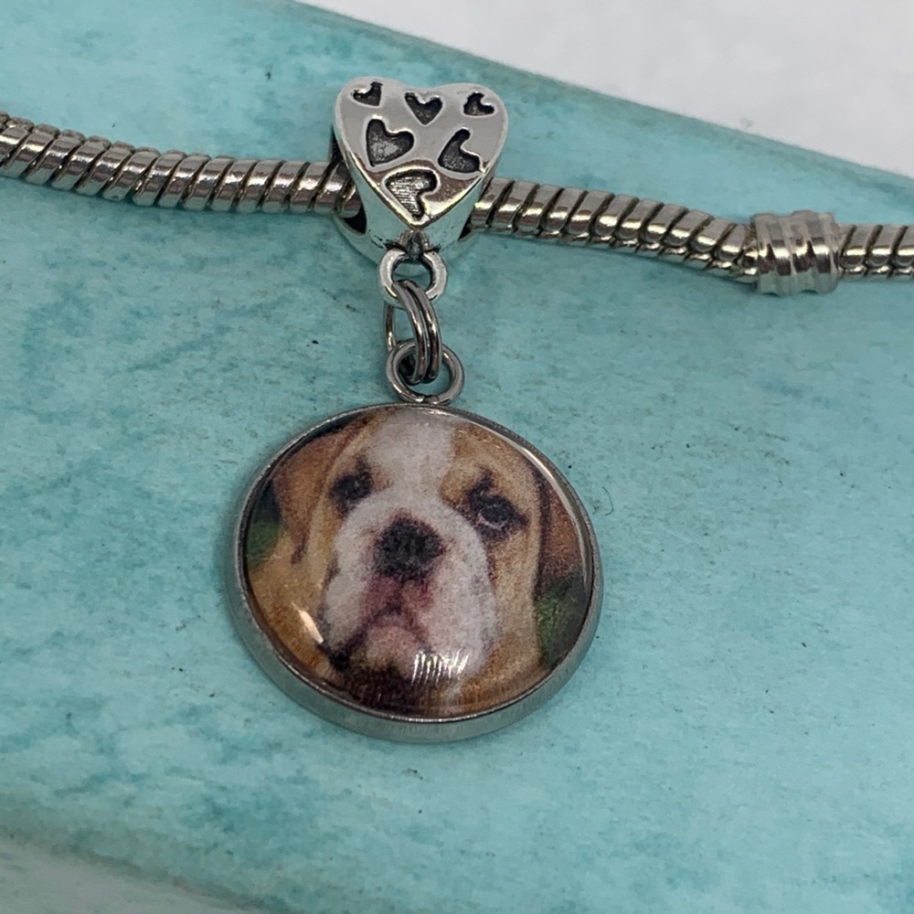 Bulldog Puppy Dog European Charm